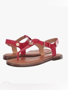 Dressy T-Straps Flat Thong Sandals
Sz 8.5
Excellent Condition